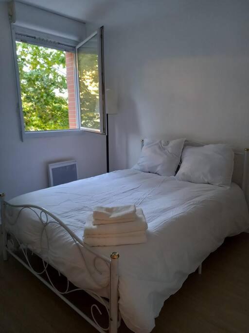 Appartement Cosy Cugnaux Kültér fotó